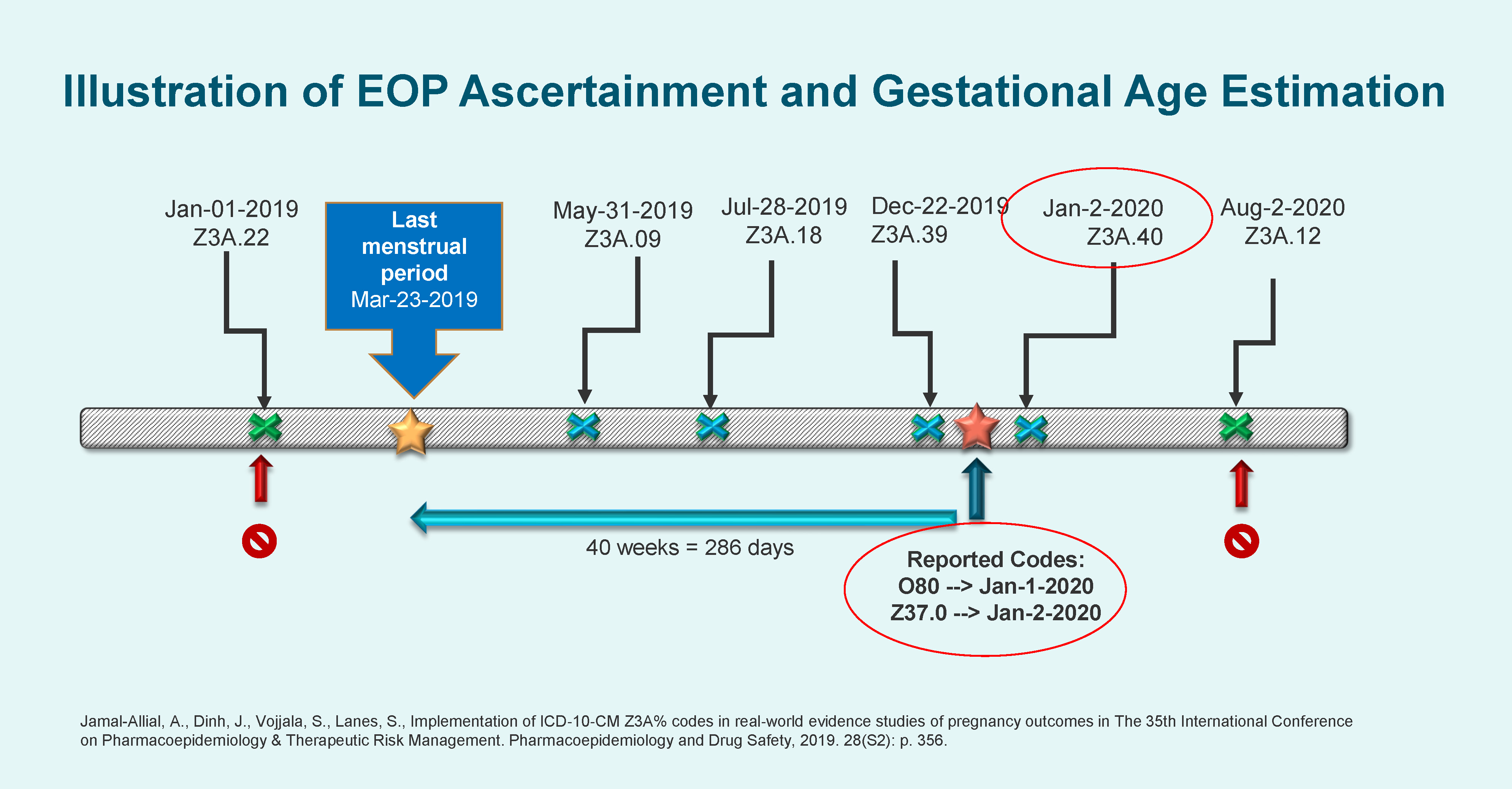 Pregnancy Figure 2.jpg